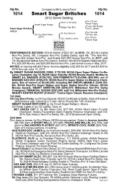 Page 75 17 Ncha Super Stakes Sale