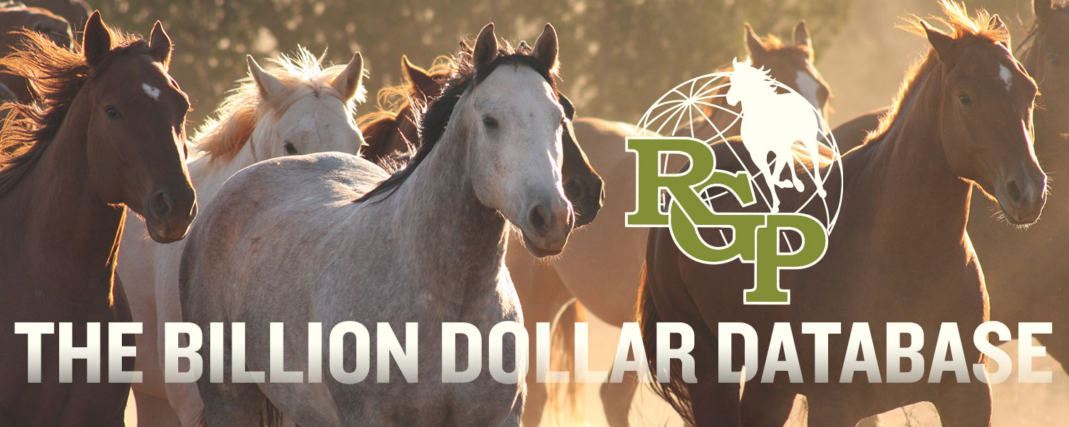 RGP-BILLION-AQHA-1